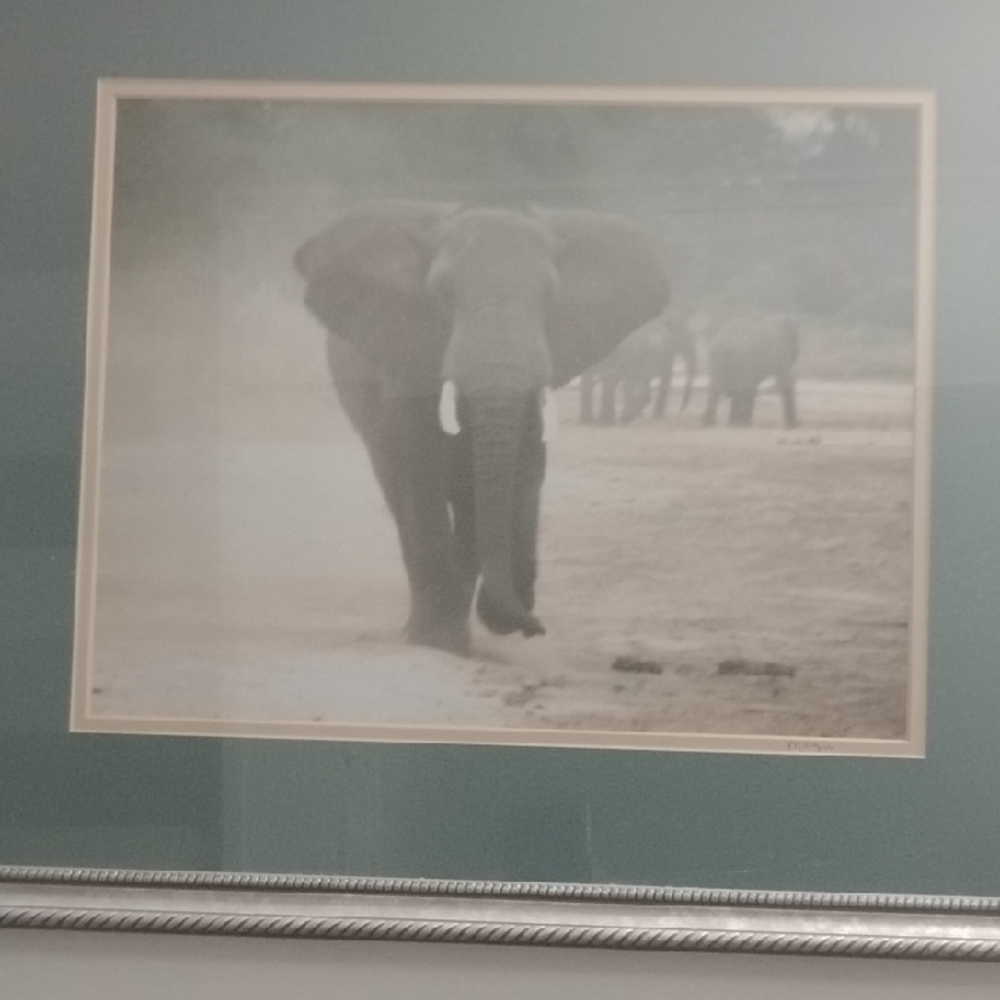 Elephant Art Print with Silver Frame